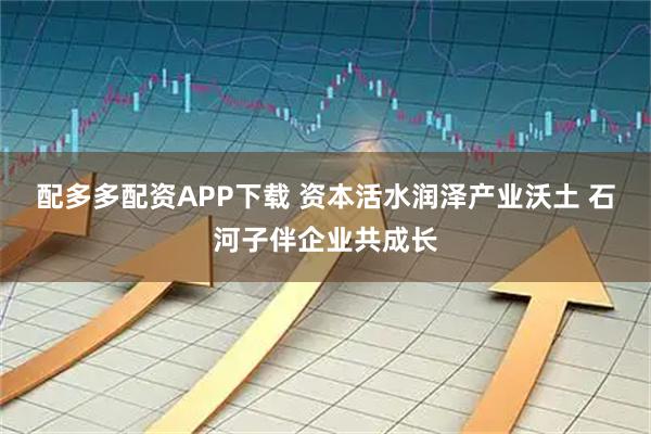 配多多配资APP下载 资本活水润泽产业沃土 石河子伴企业共成长