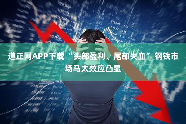 道正网APP下载 “头部盈利、尾部失血” 钢铁市场马太效应凸显